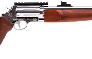 ROSSI CIRCUIT JUDGE 45LC/410 SS/WD