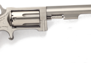 NORTH AMERICAN ARMS SIDEWINDER 22MAG 4" SS       #