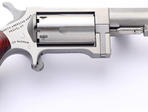 NORTH AMERICAN ARMS SIDEWINDER 22MAG 2.5" SS