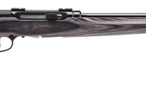 SAVAGE ARMS A17 TARGET 17HMR BL/LAM 22"