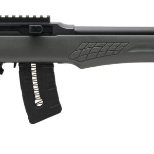 ROSSI RS22 22MAG BLK/GRAY 21" 10+1