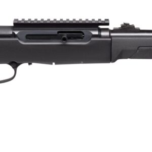 SAVAGE ARMS A22 TAKEDOWN 22LR BL/SY 10+1