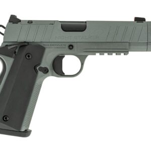TISAS NIGHT STALKER COMP 45ACP GRY #