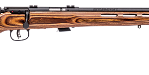SAVAGE ARMS MARK II BOLT 22LR BL/LAM TH #